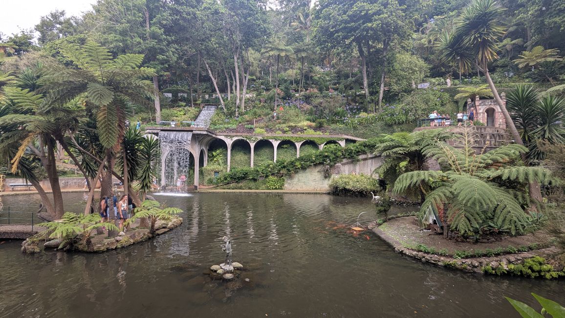 Tag 9: Funchal - mit einer rasanten Schlittenfahrt