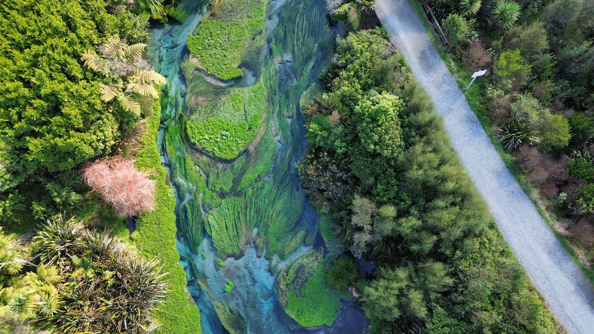 Putaruru Blue Springs aus Drohnen-Sicht
