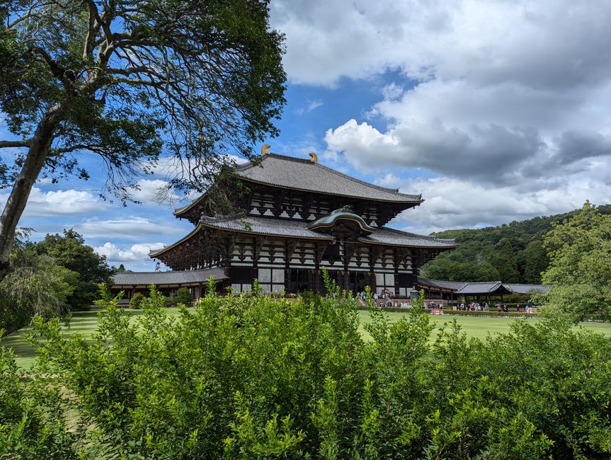 Nara, Osaka y Kioto II