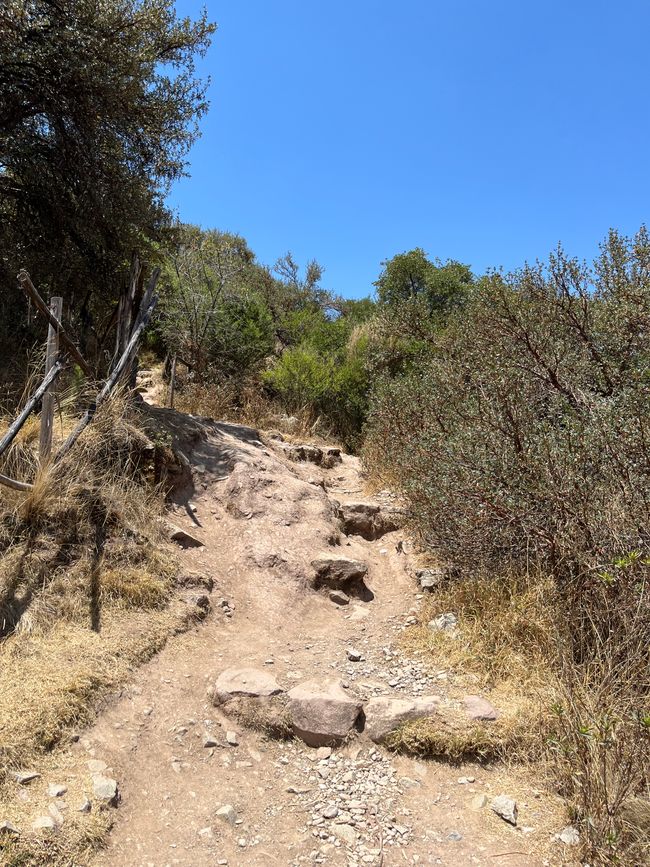 Tag 12
Wanderung zum Sacsayhuaman und de Cristo Balnco