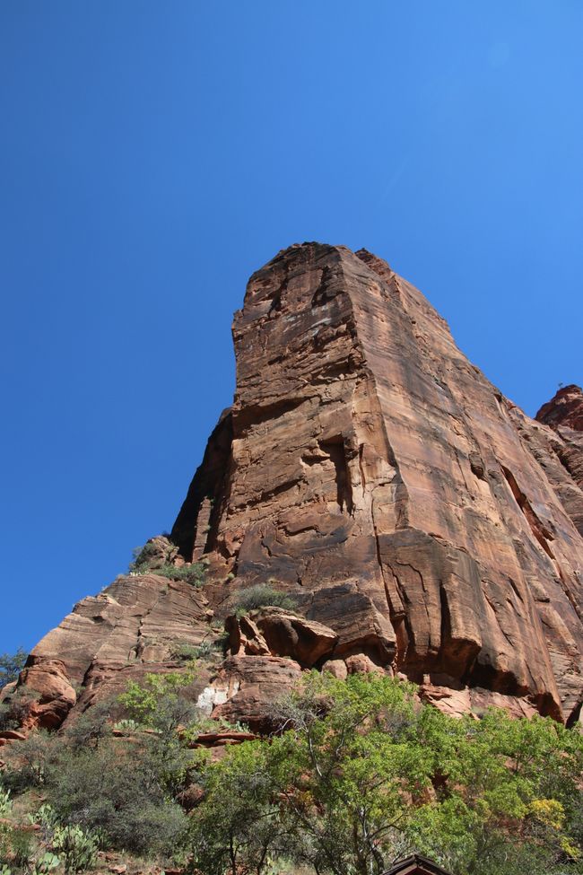 Zion NP