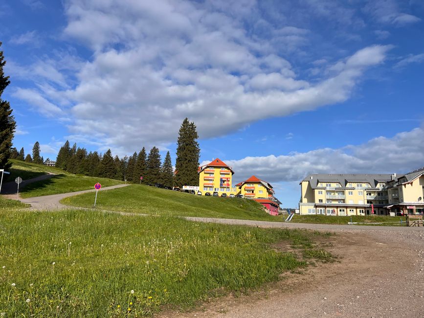 29 nach Hause