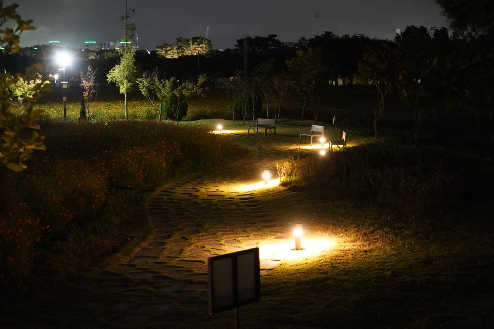 Jardín de luz