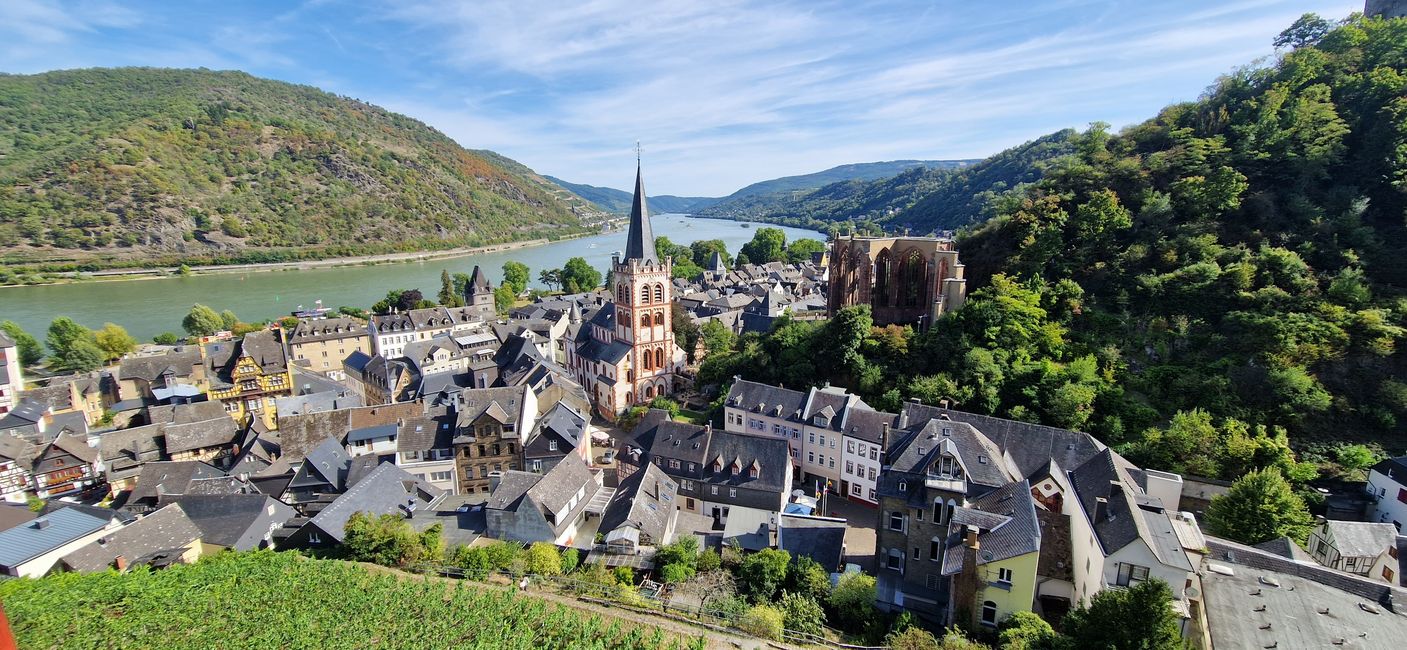 Bacharach