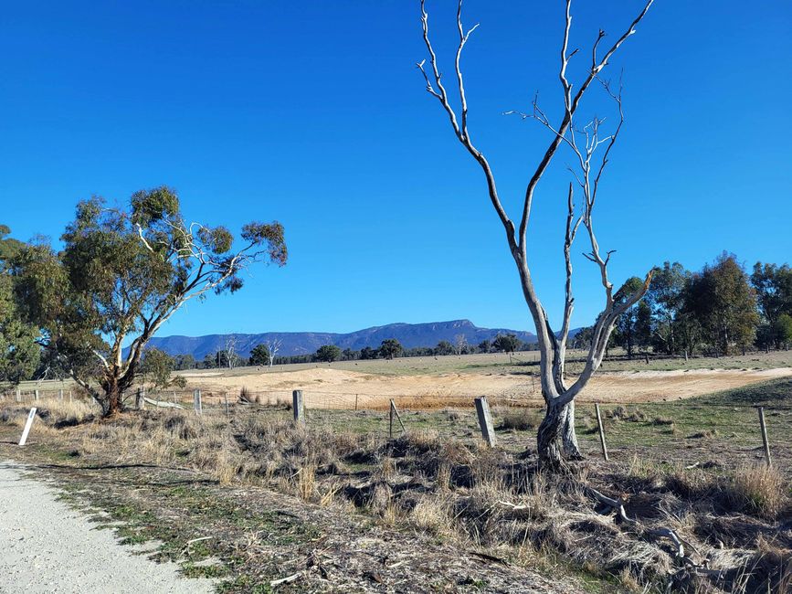 Hahndorf - Halls Gap