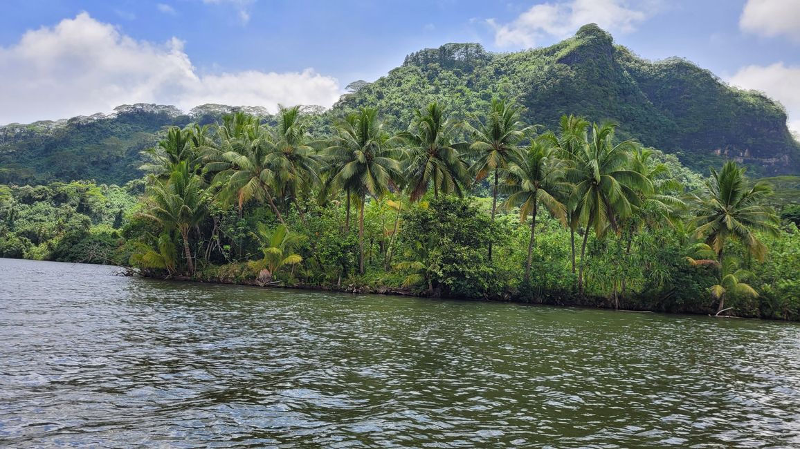 Raiatea – Along the Fa’aroa River