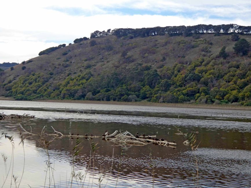 Tower Hill Wildlife Reserve