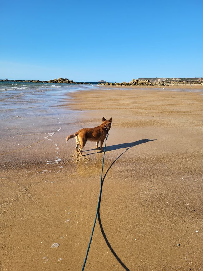 TAG 4 und 5 - in der Bretagne angekommen