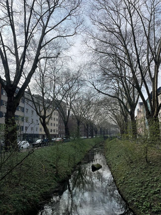 Bonn to Düsseldorf