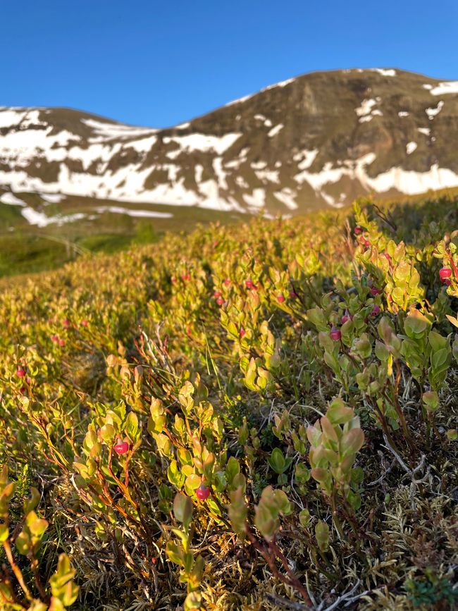 11:14 PM at the highest point of my hike
