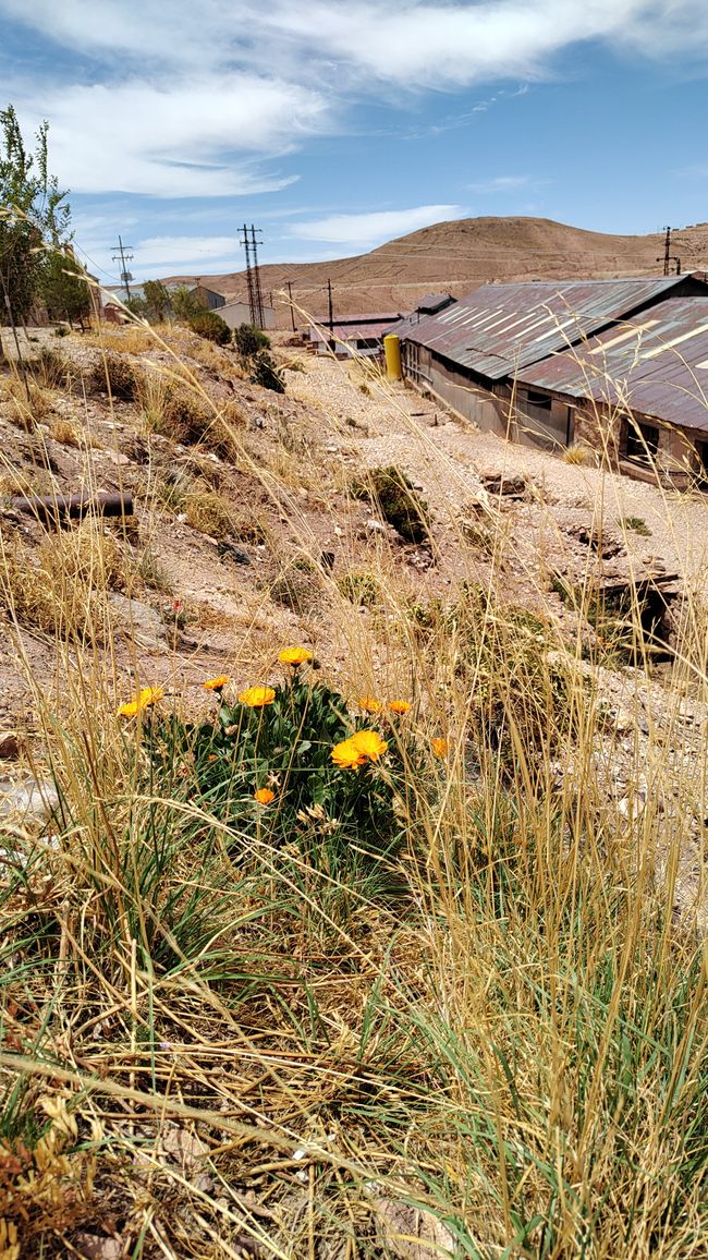 Bolivia, Museo de Minas