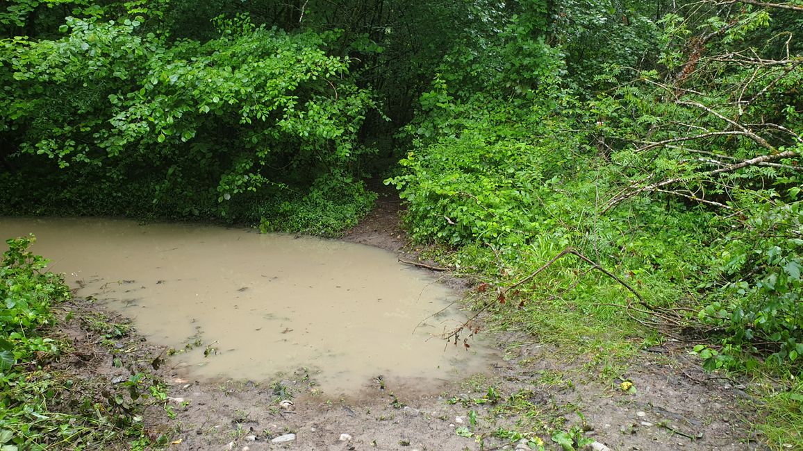 Wanderung nach Faverges