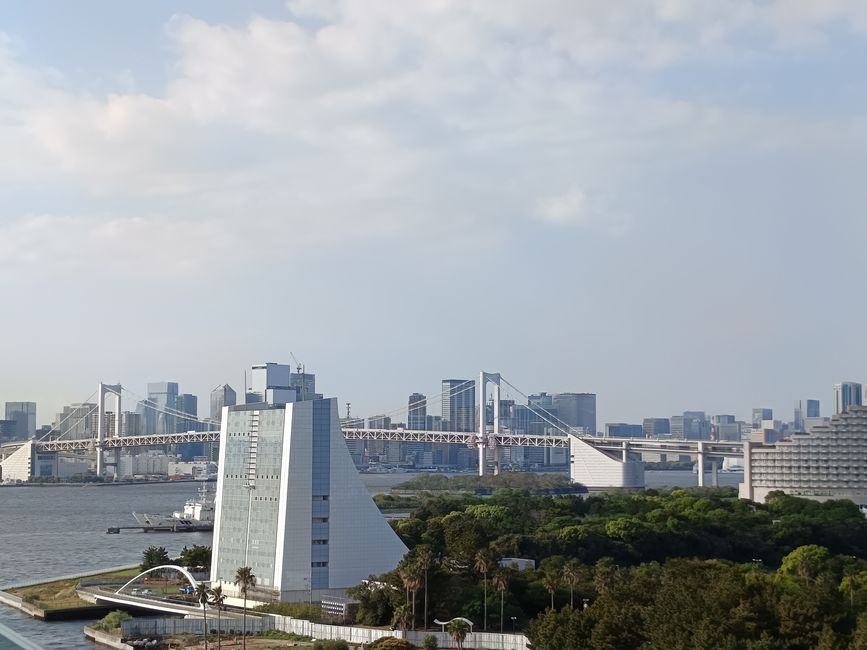 Tokyo auf eigene Faust
