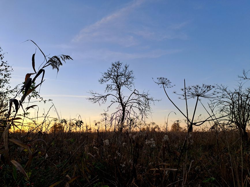 Sonnenuntergang in Linum