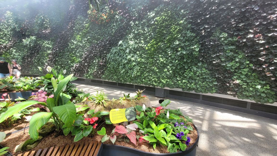 Heute königliches Programm – Royal Botanical Garden in Sydney