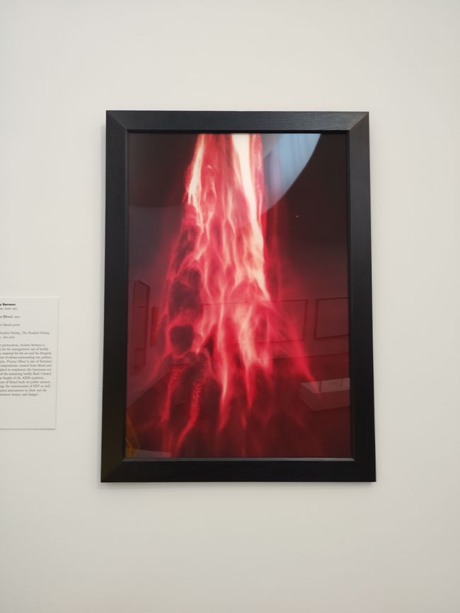 MFAH Benni's Fotos