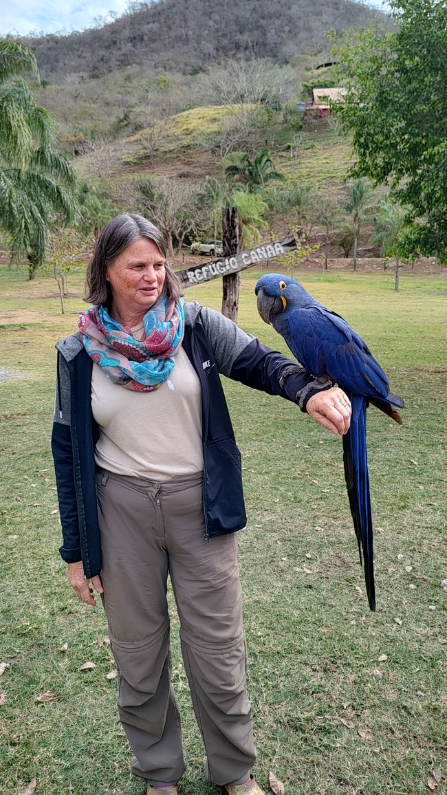 Refugio Canaa Brasil