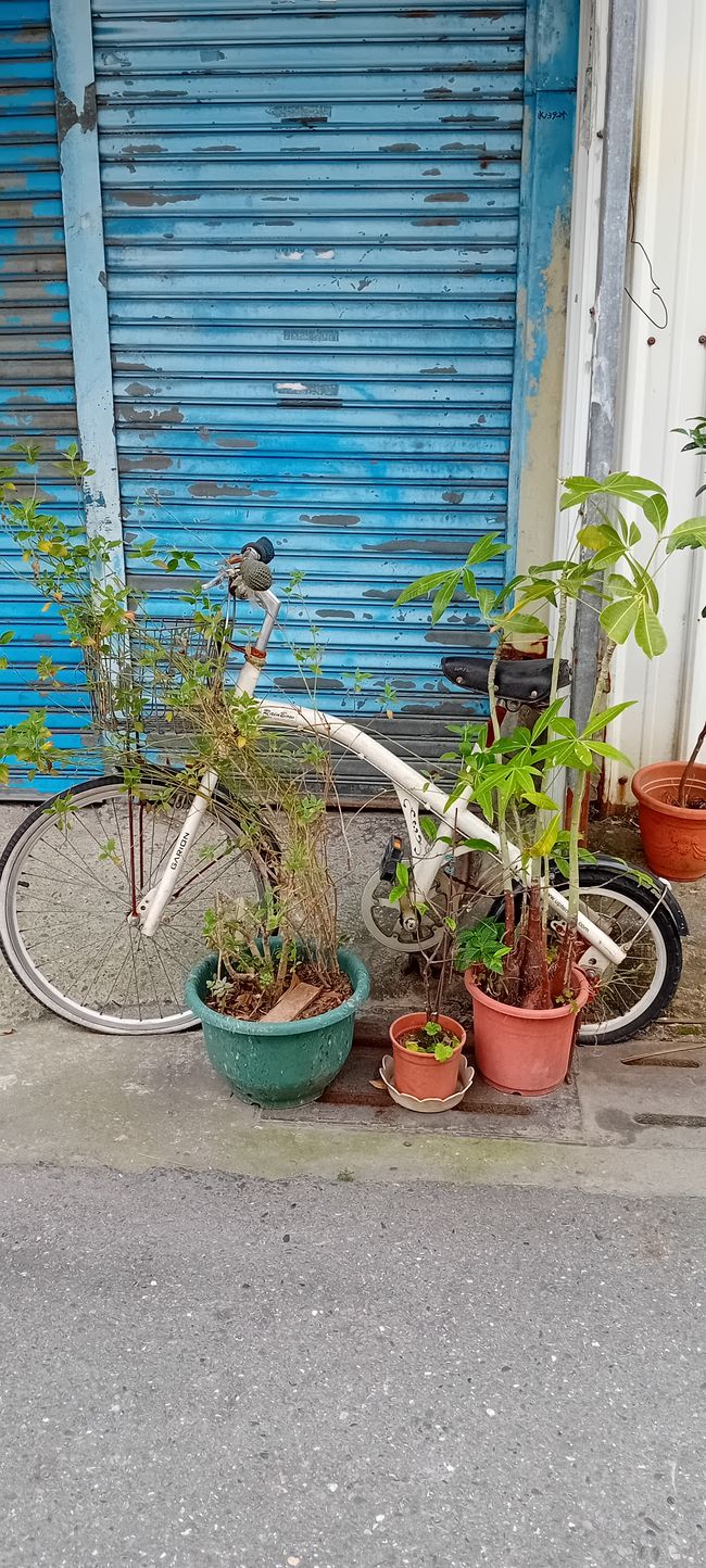Luye y Taitung