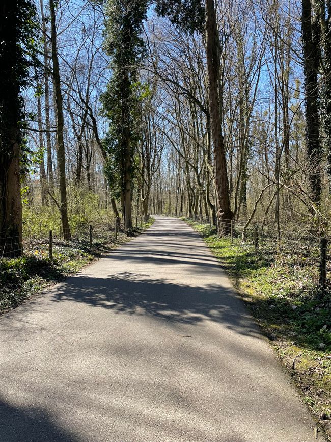Parc paysager Wiese