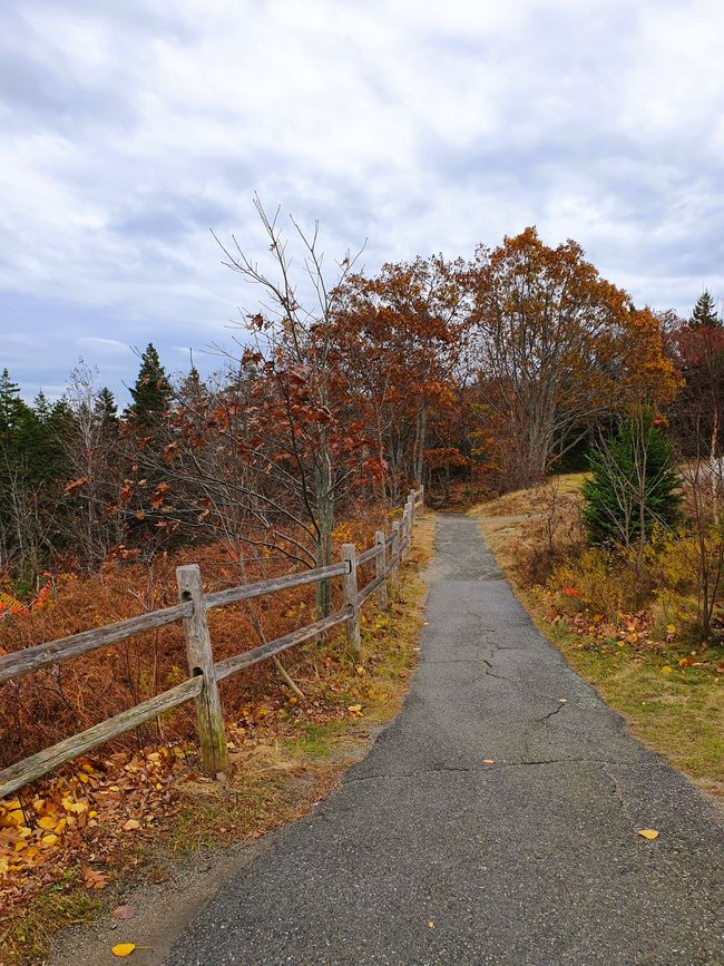 Acadia National Park