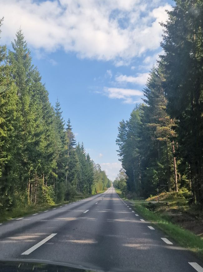 Svezia 6° giorno - Safari degli alci, acquisto di un caricabatterie e campeggio speciale