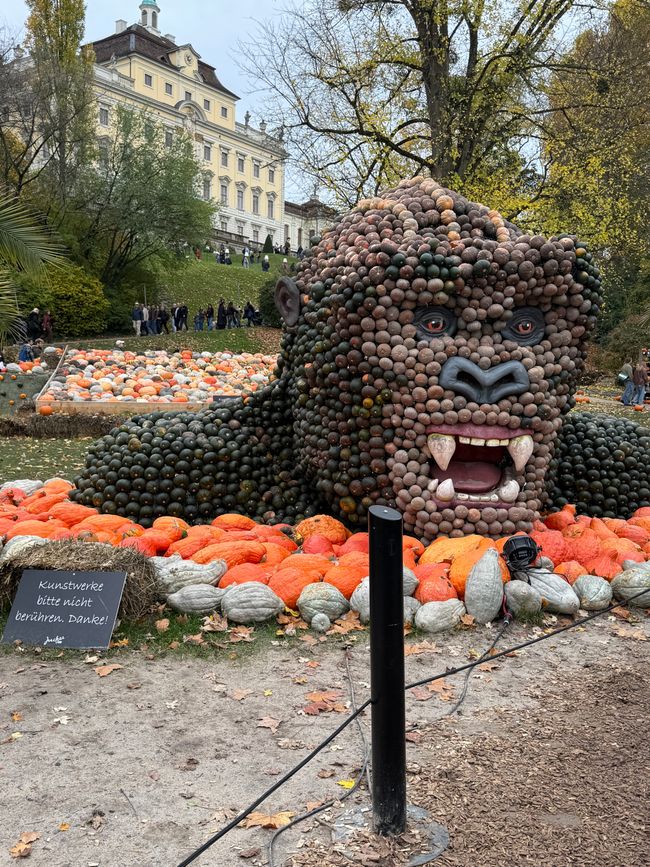 📍 Esposizione di zucche, Ludwigsburg/ 📍 Pumpkin exhibition, Ludwigsburg