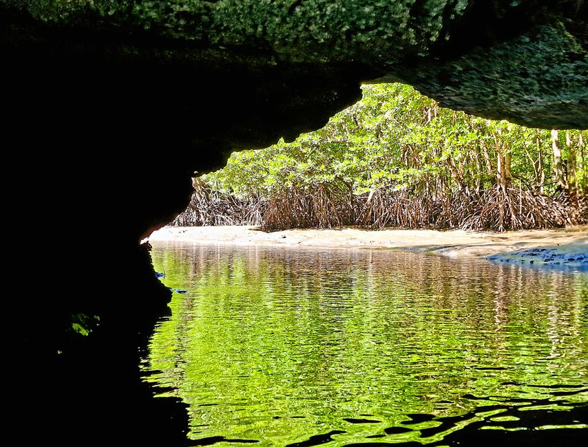 Kilim Forest Park