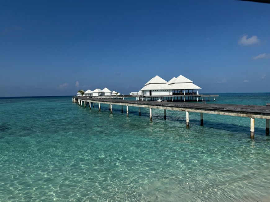 10 Días en Thundufushi - Un Viaje a Través de Aguas Azules, Jardines de Coral y Momentos de Quietud