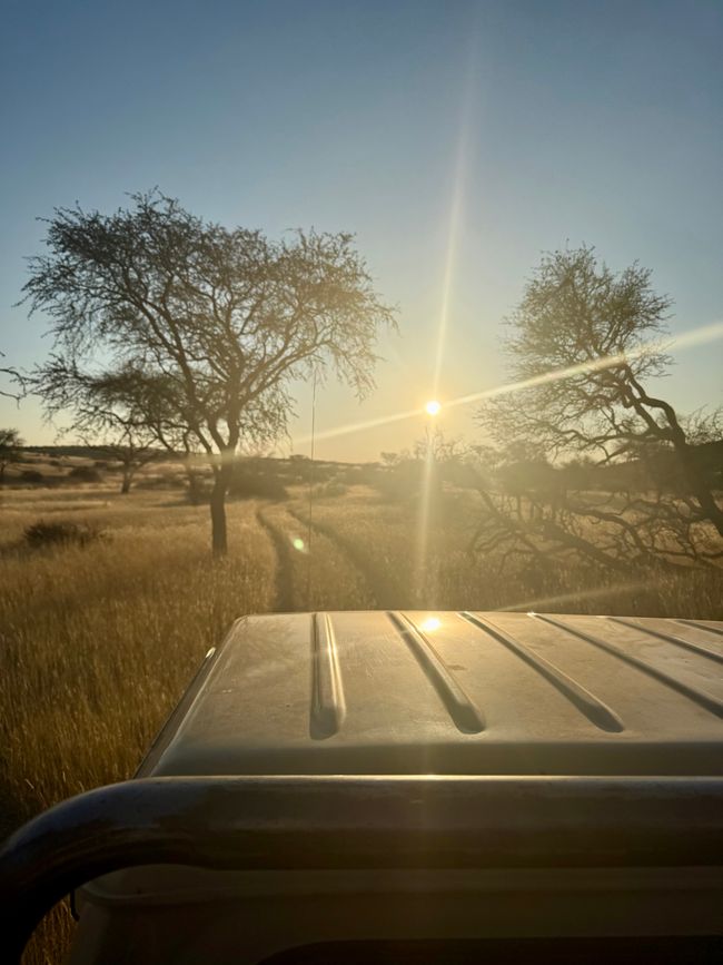 Namibia 2k25 🦓🏜️🐘