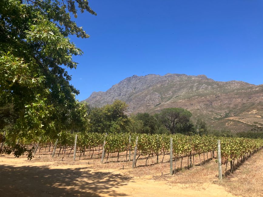 Kap-Halbinsel und Stellenbosch