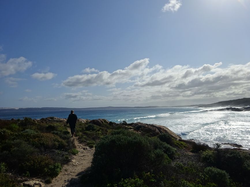 Native Dog Beach