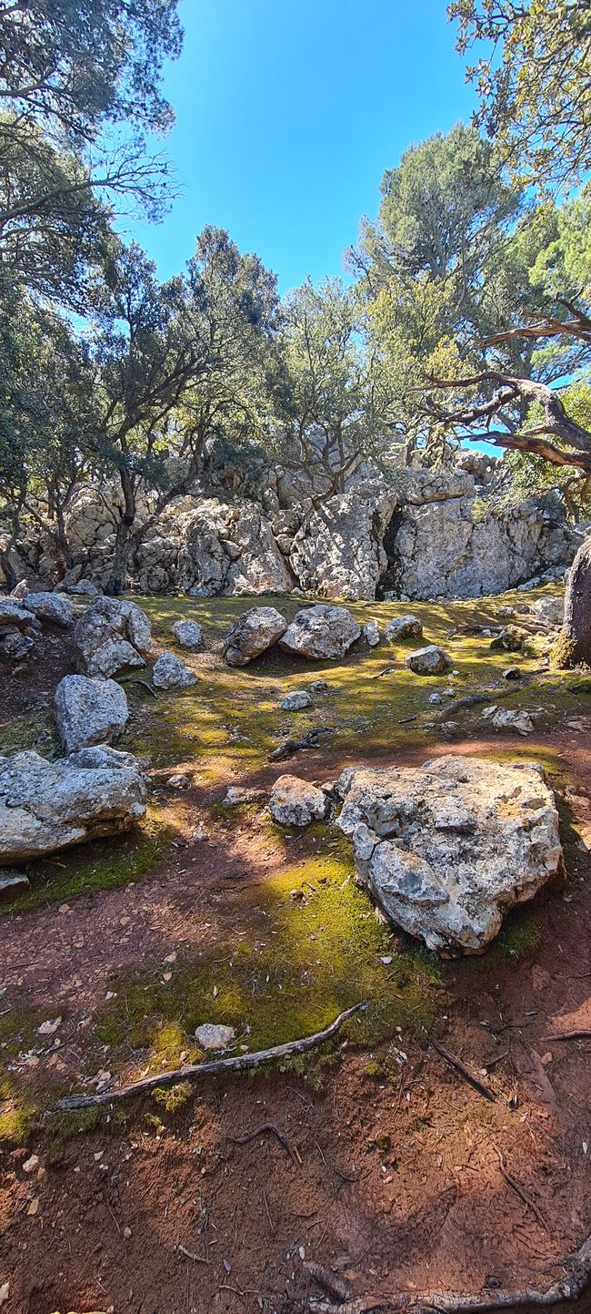 Der kernige Anstieg von Valldemosa nach Deja