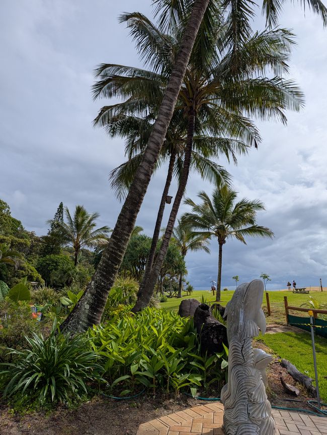 Blu su Moreton Island