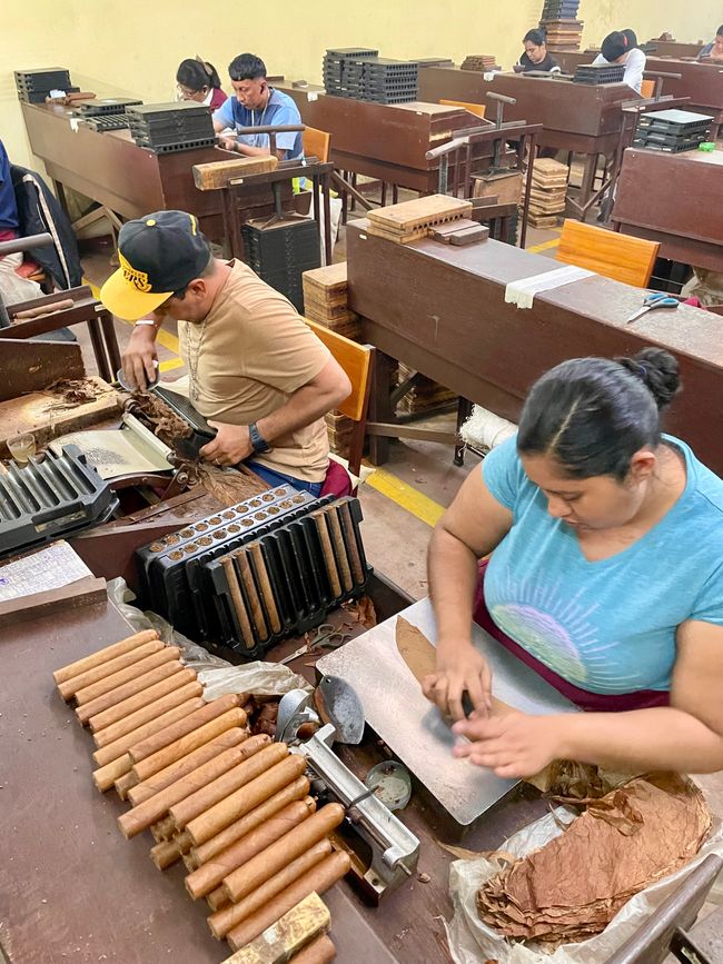 Frauen bringen das äußere Blatt an und geben der Zigarre ihre Form