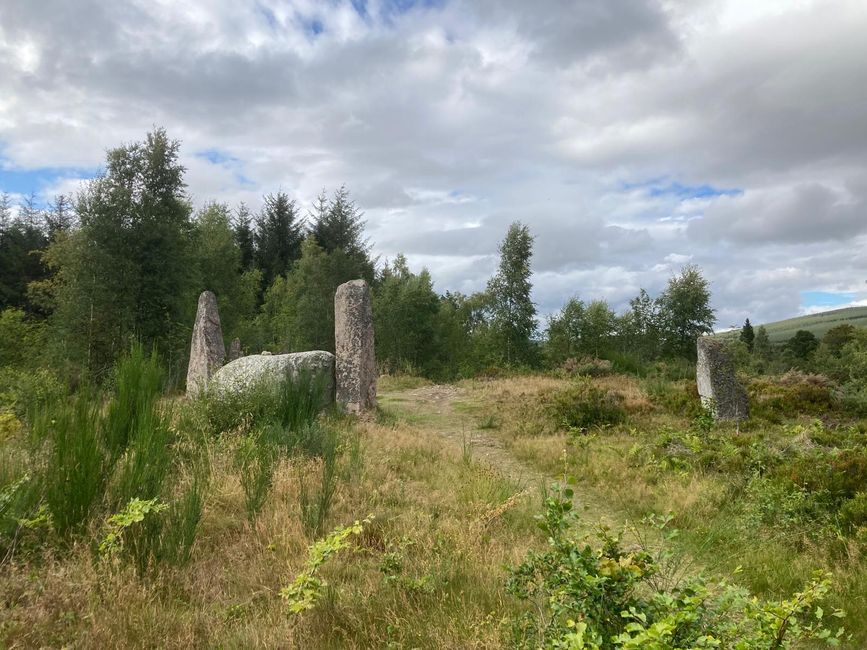 Steinkreis von Cothiemuir