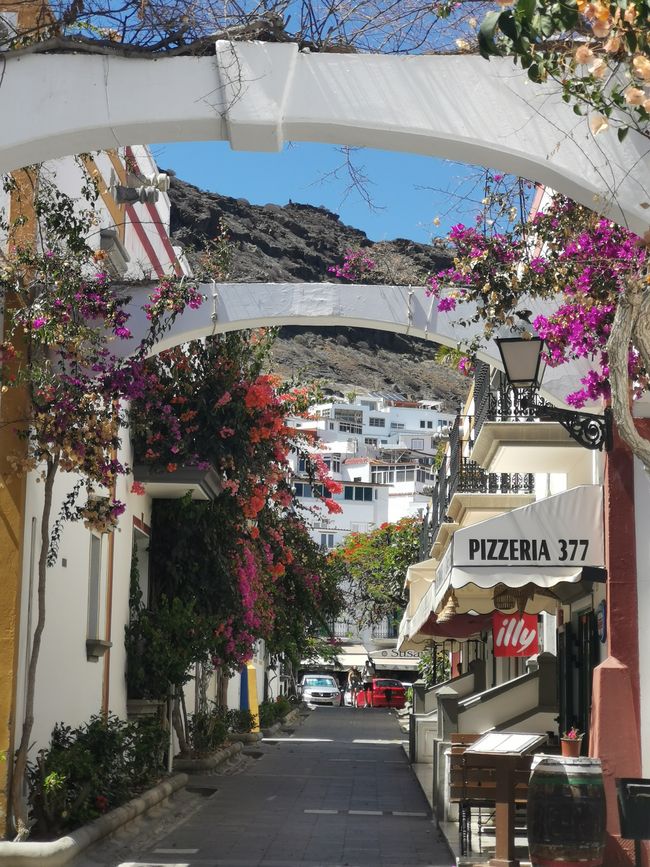 Gran Canaria Giugno 2024