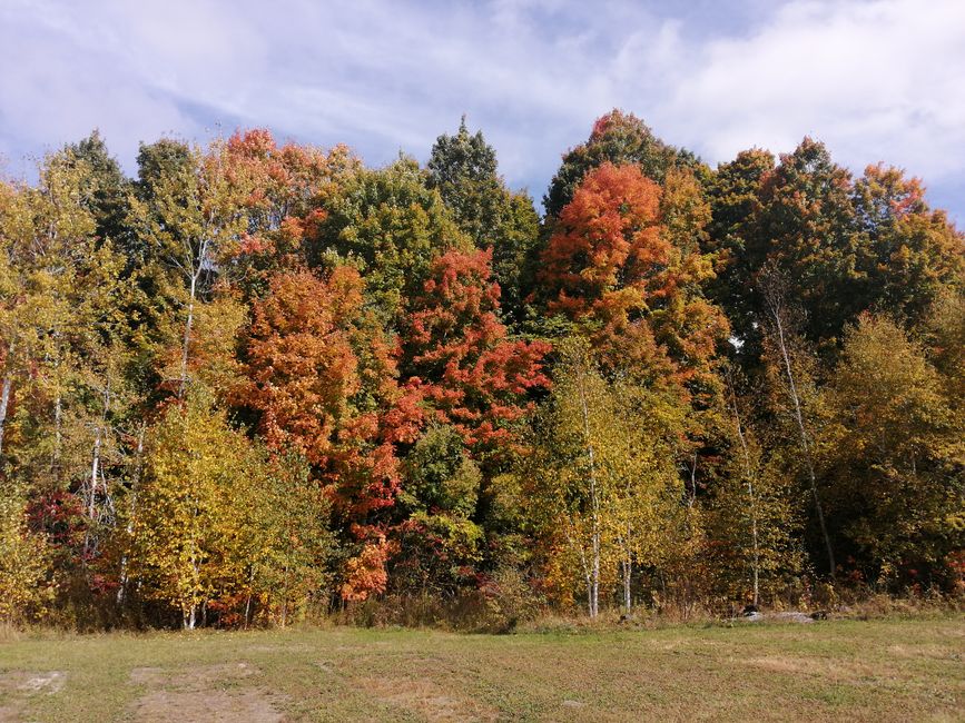 Immer noch Indian Summer