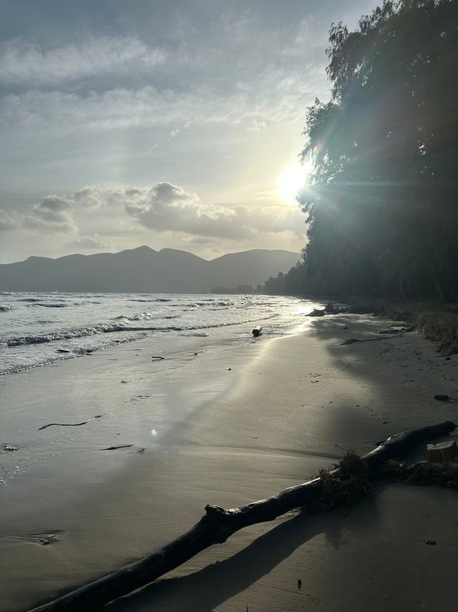 Con Dao