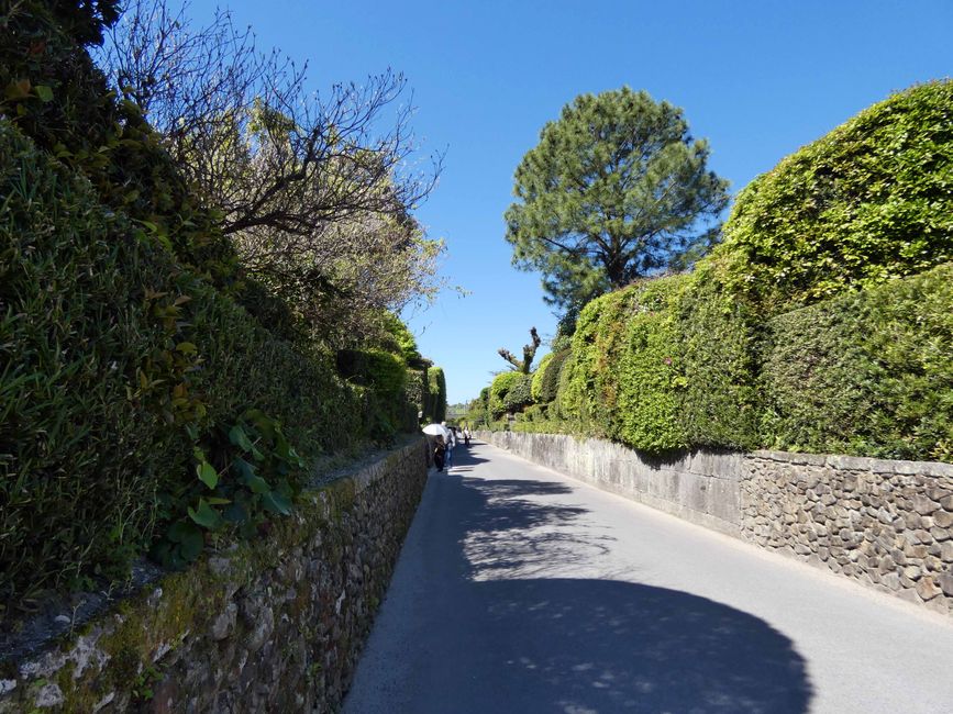 Strasse im Samurai Dorf