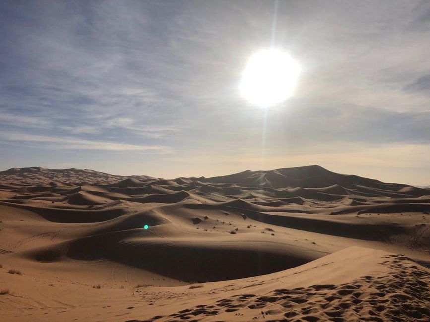Die Wüste lebt!