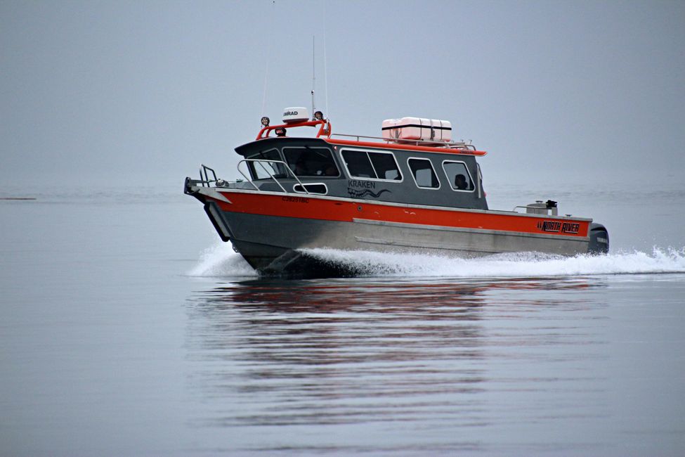 Seasmoke Whale Watching Tour