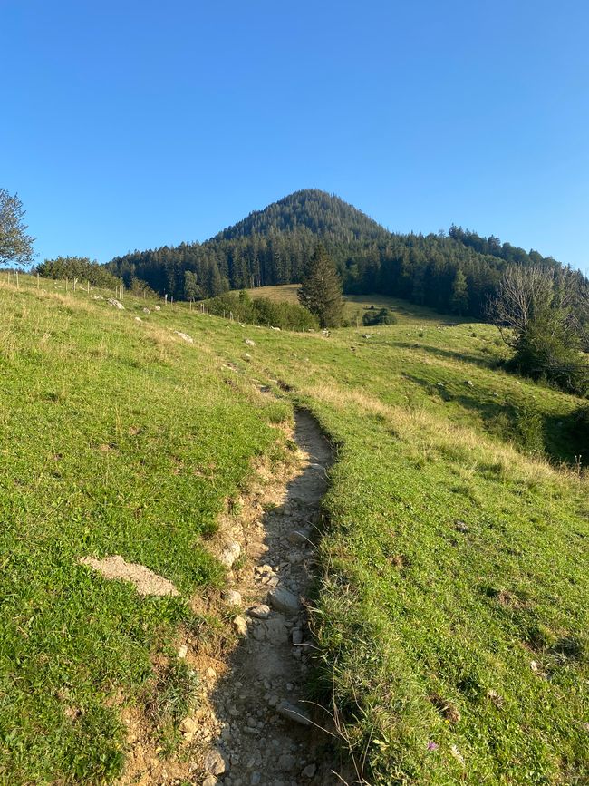 📍Schliersee, Bavaria