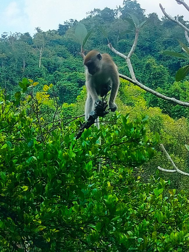 Ipoh