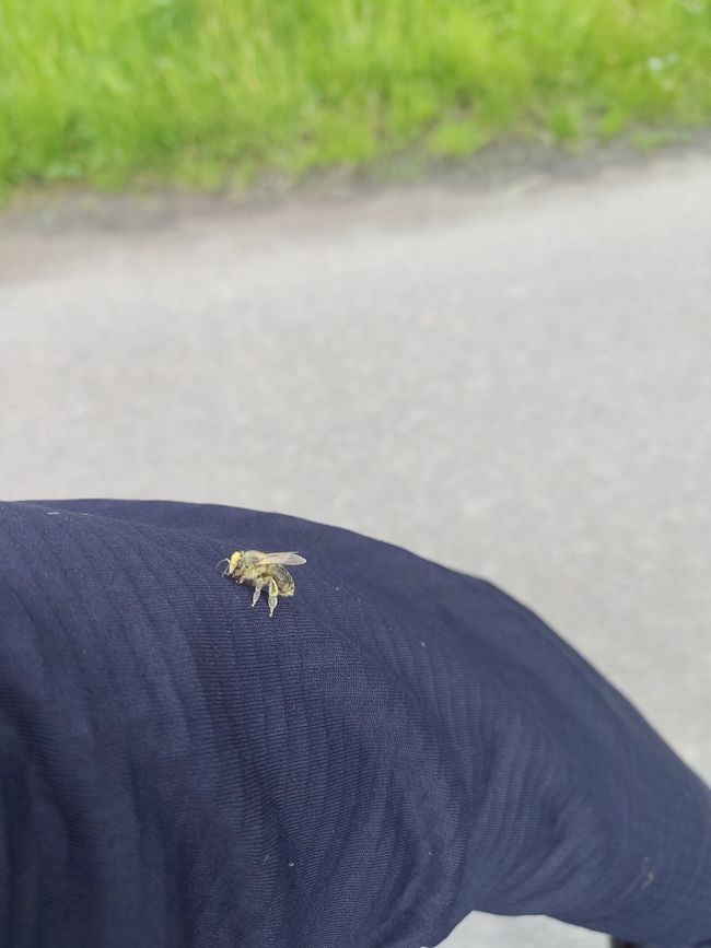 Man ist selten ganz allein