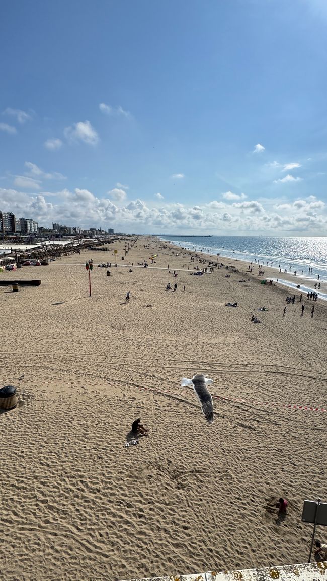 Strand von Den Haag