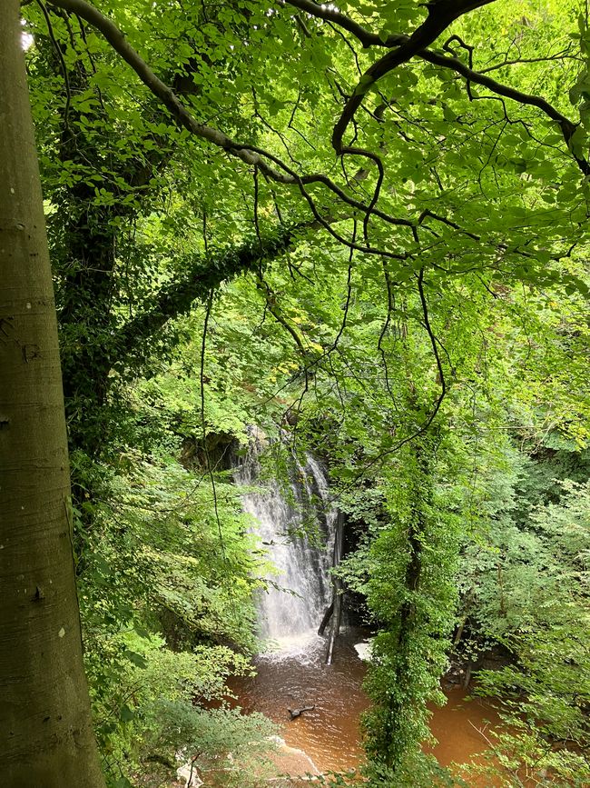 09.09.2024 Glaisdale nach Robin Hood‘s Bay