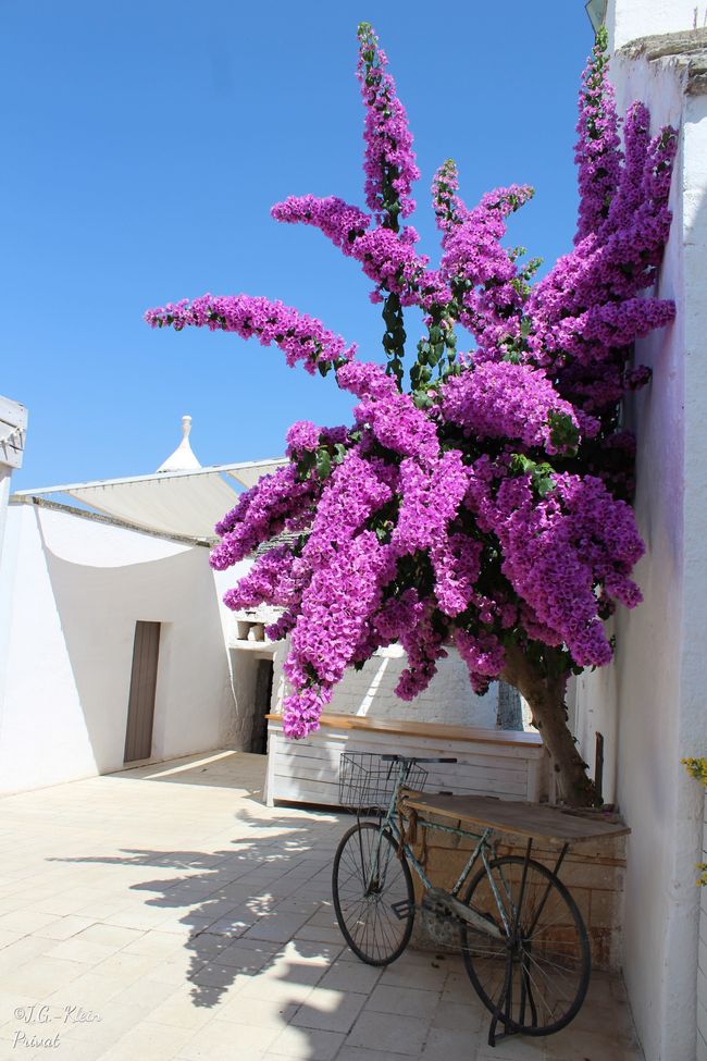 Trulli House