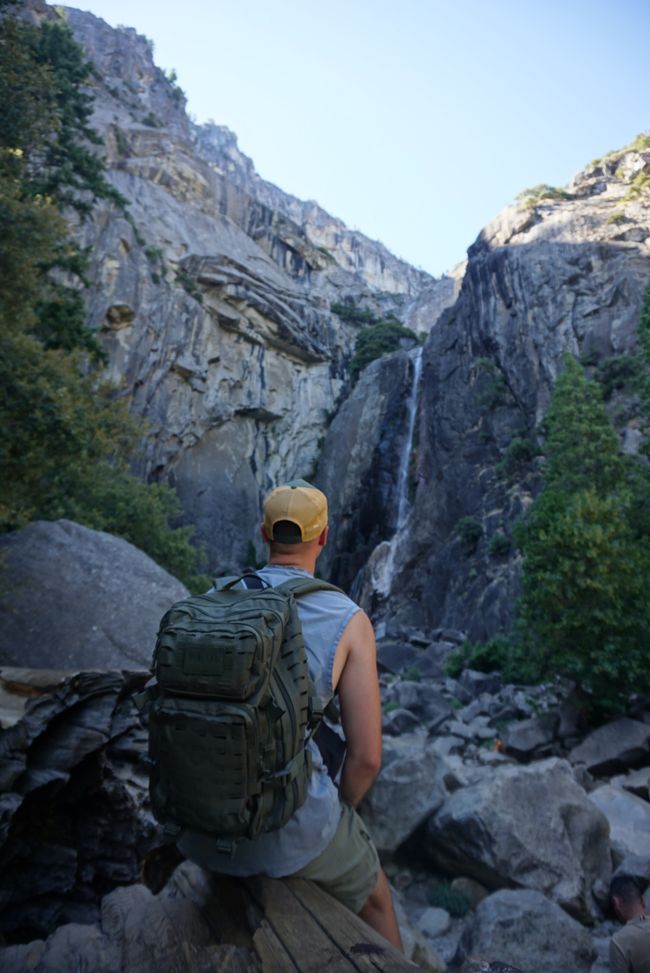 Tag 9 - Ultimo giorno nello Yosemite e un momento indimenticabile con un orso 🐻