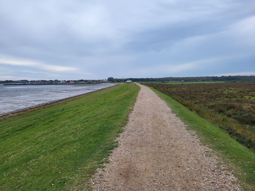 Nordsee, dunes et vie insulaire - Amrum