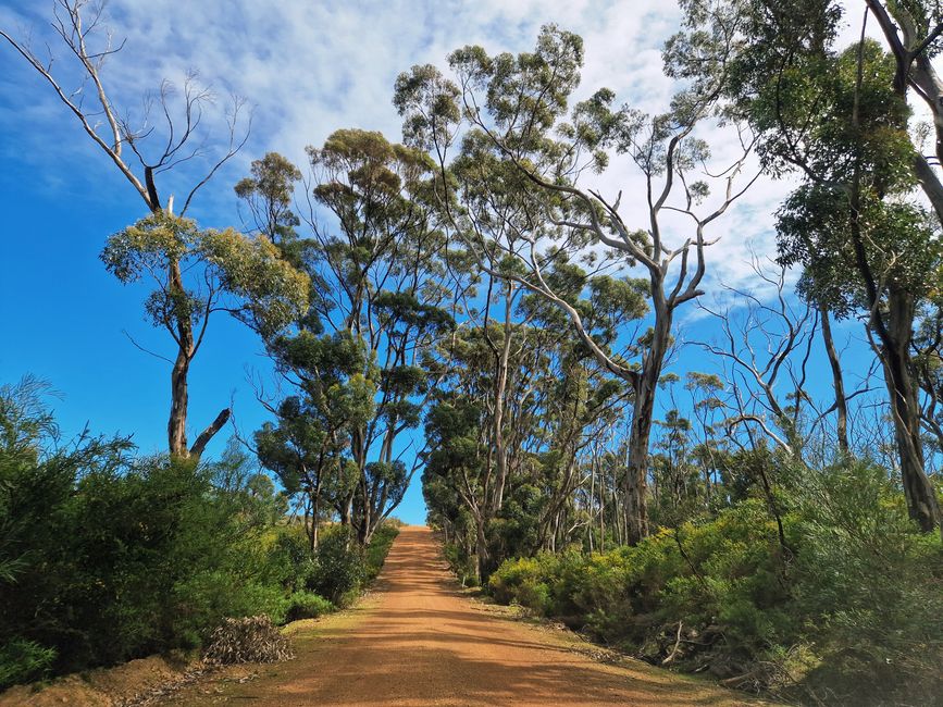 On Kangaroo Island
